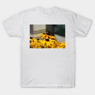 Bee on Rudbeckia Flowers T-Shirt